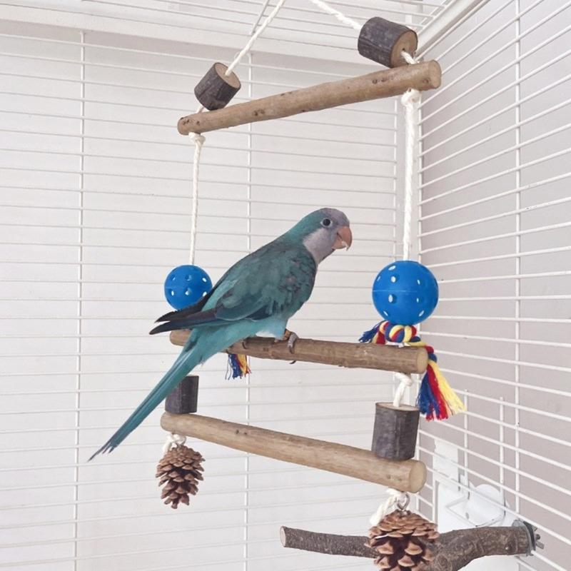 Bird Perches Cage Toy Wood Bird Perches Lovebird Cage Decoration Interactive Cage Accessories for Parakeets, Lovebirds