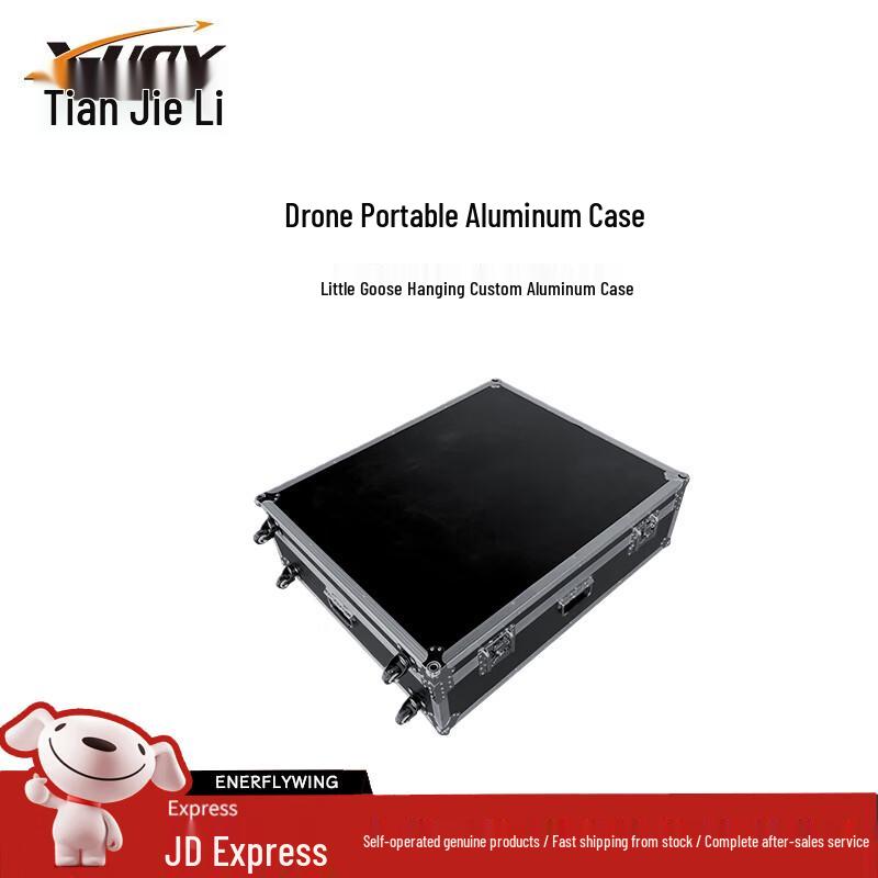 TianJieLi Sky Surfer X8 & Little Goose RC Aircraft Series (CN version)