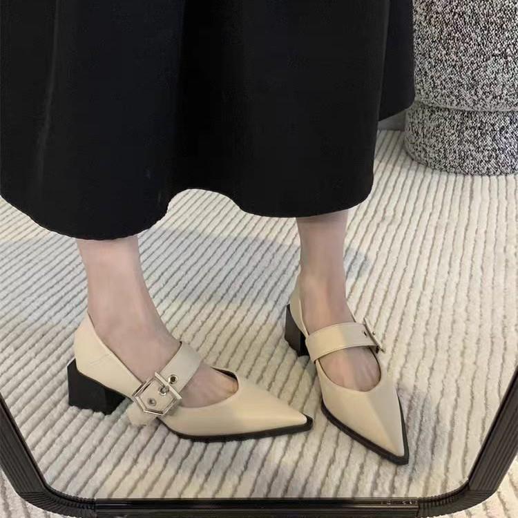French Retro Mary Jane Thick-heeled Single Shoes Women's 2025 New Temperament Pointed One-word Buckle with Small Fragrant High Heels
