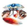 Zappi Fiddler Crab Plush Toy