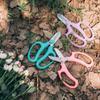 Purple Pruning Tools Blue Garden Scissors Hand Cutter Floral Scissors  Picking Weed