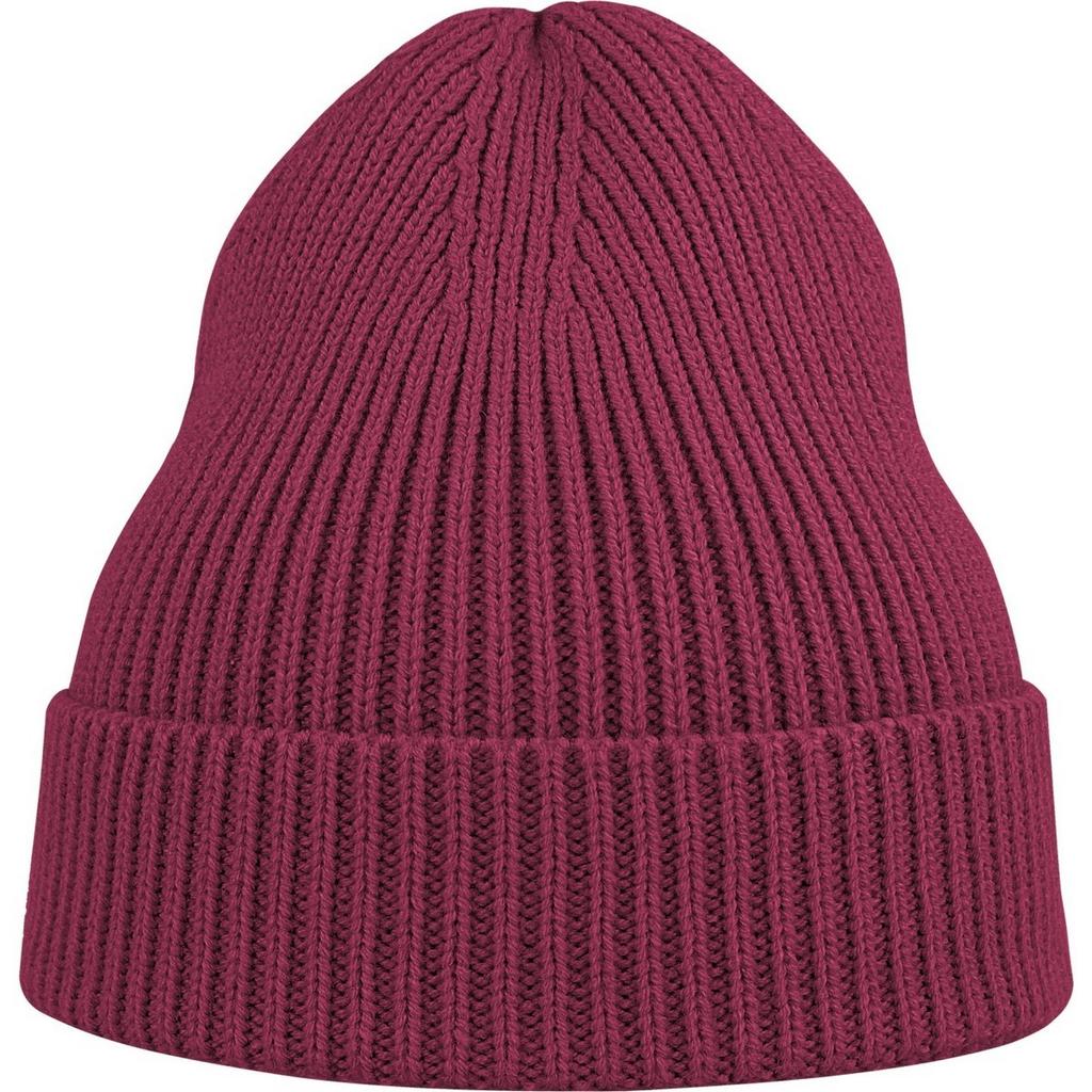 Atlantis Unisex Adult Andy Recycled Polyester Beanie