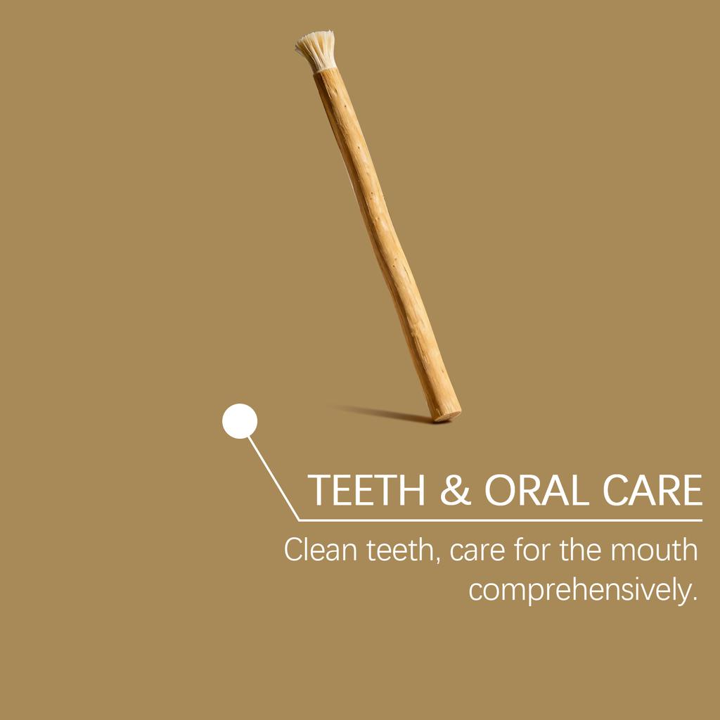 Twig Toothbrush Soft Bristles Manual Daily Cleaning