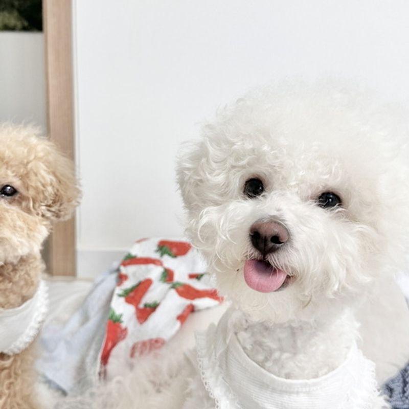 PLUM STUDIO Baby Baumwollseide Top - 2 Farben