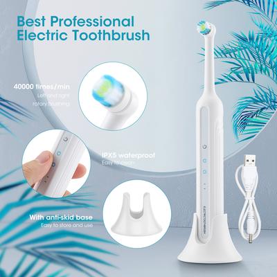 Spazzolino Elettrico Rotante Portatile con Base Completamente Automatico Ricaricabile Artefatto per la Pulizia Dentale Sbiancante Rimuove il Tartaro