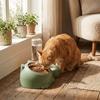 2 In 1 Cat Double  Bowl Gravity-Driven Cat Food Dispenser Cat Water Dispenser  Multi-Pet Household