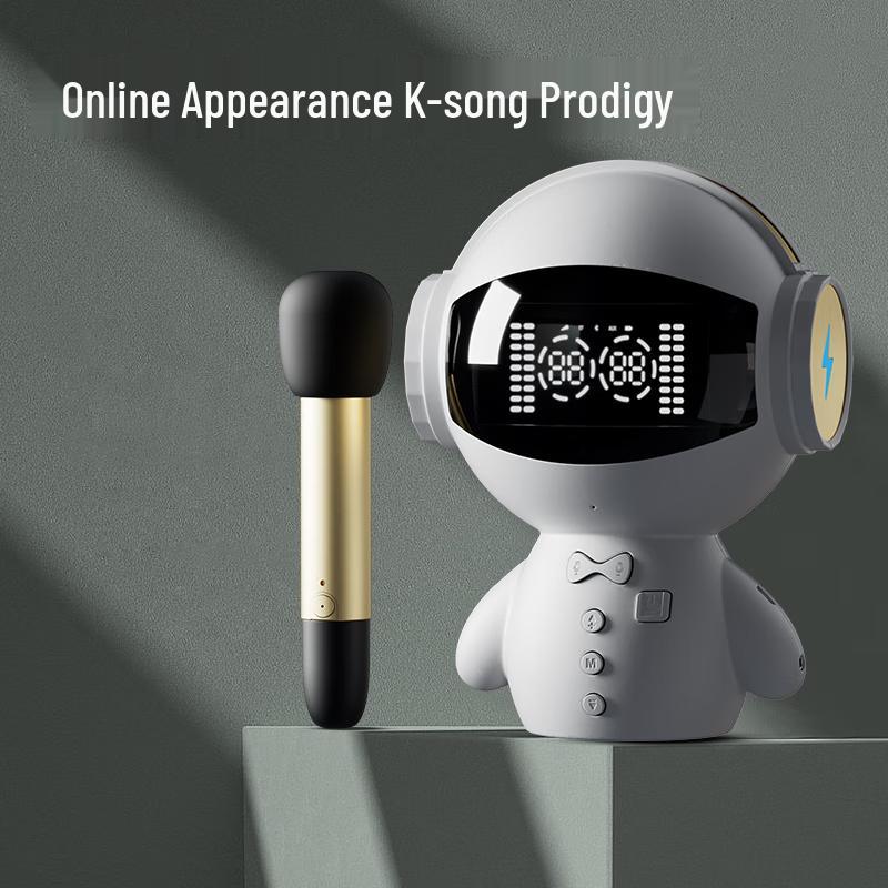 Lanlang M100 AI Multifunction KTV Speaker