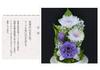Art for Seasons Mini Offering Flowers Mini Glass Lila Preserved Flowers