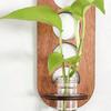Plant Storage Rack Wall Hanging Vase Hydroponic Containe Hanging Planter  Home/Office Decor