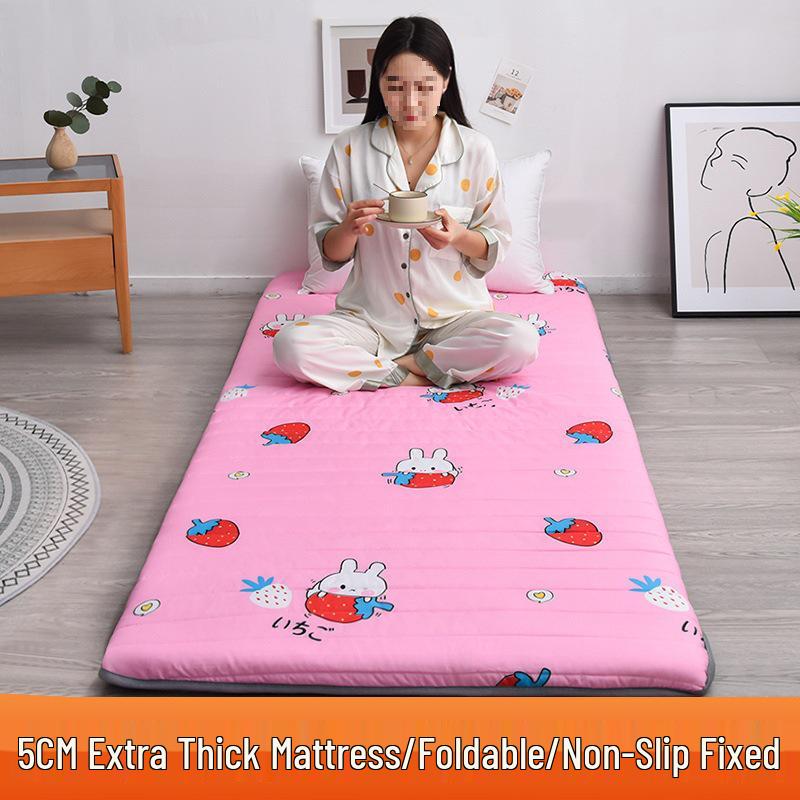 Winter Sponge Mattress Pad for Dormitory or Child's Bedroom