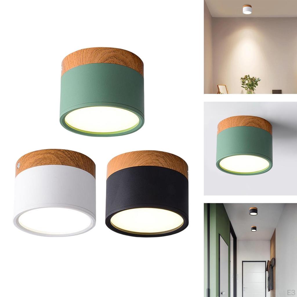 LED Ceiling Surface Mounted Light s Down for Foyer Bedroom Corridor