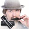 EVERJOYS Diatonic Harmonica 10 Hole Blues Harp with Polishing Instruction Key of C Case, Cloth, Manual,
