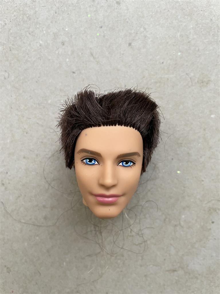 Rare Limited Collection Fashion Loyalty Doll Head Leon Pierre Devries FR Doll Accessories DIY Dressing Boy Prince Toy Doll Heads