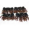 Tissage Naturel Synthetisches Webhaar 6 Zoll Ombré Lockiges Haar 6 Farben 4 Stück 1 Los