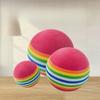 Solid Rainbow EVA Foam Ball Silent Bouncy Interactive Chew Toy for Cats Small Dogs Indoor Self Play Pet Supplies
