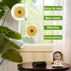 20 Pezzi Trappole per Mosche da Finestra Girasole Adesivi per Mosche Trappole per Insetti da Interno Piante da Interno Cucina Alberi Controllo Parassiti Mosche