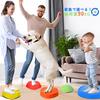 JoyRapt Balance Stones, Set of 10, Balance Beam for Kids with Non-Slip Backing, for Toddlers and Children, Balance Training, Motor Skills,