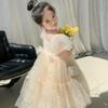 Dress Girls Princess Birthday Party Bow Summer Skirt Baby Girl's Bubble Sleeve Mesh Sequin Sweet Cute
