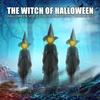 Halloween Light Up Witch Decoration Sound Activated Glowing Witch Prop for Yard Haunted House Scary Ghost Party Decor