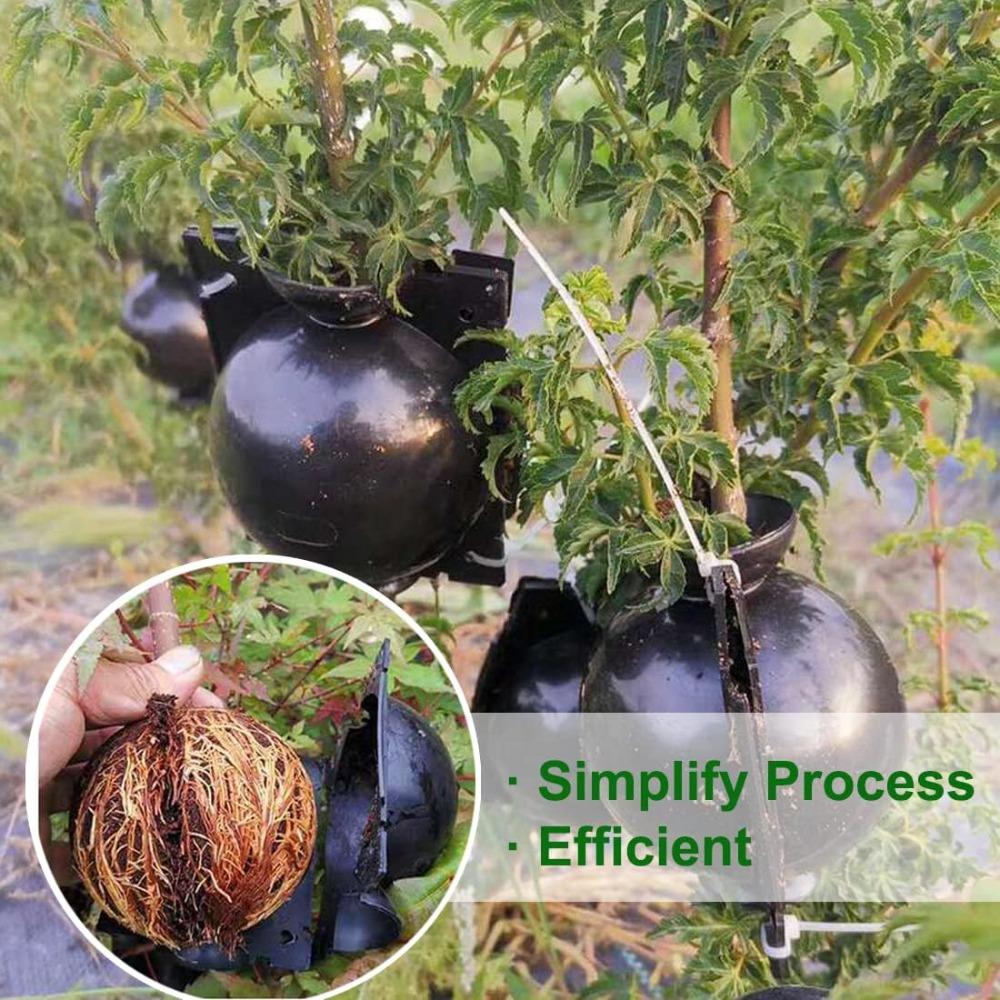 10PCS Plant Root Growing Ball Reusable Plants Rooting Ball Reproduction Device Garden Cuttings Grafting Rooting Propagation Ball