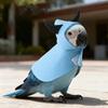 Pet Bird Cape Cloak Outfit for Parakeet Cockatiel Outdoor Pet Supplies