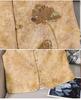 2026 New Chinese Style Embroidered Beaded Sleeveless Kimono Top for Women