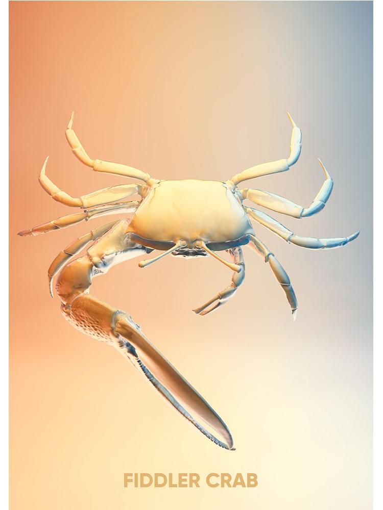 Vintage Crab Ocean Animals Posters Print Canvas Painting Scallop Sea Star Nordic Wall Art For Living Room Home Decoration Mural