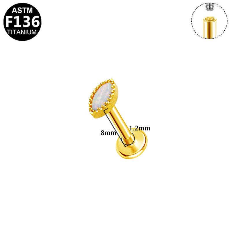 Titanium F136 Diamond Inlaid Ear and Lip Studs - Versatile, Elegant, European & American Style