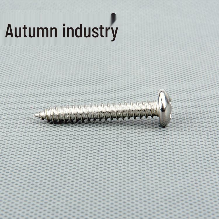 M3-M6 201 Stainless Steel Phillips Pan Head Wood Thread Self-Tapping Screw