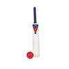 Slazenger Kashmir Willow Cricket Bat Set