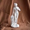 Venus Goddess Sculpture, Matte White Resin Venus Figurine, European Style Artistic Desktop Decoration for Living Room Study Room Home Office Decor