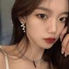 Silver Needle Korea Dongdaemun Geometric Pearl Fringed Earrings Fashion Temperament Personality Trendy Earrings Earrings