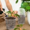 5/10PCS Clear Seedling Nursery Pots with Breathable Cover Seed Starting Grow Cup Flower Plant Containers Garden Vegetable Pot