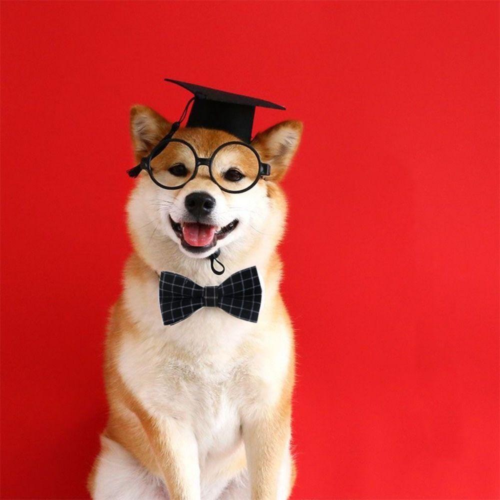 With Tassel Dog Dr. Hat Elastic Dog Degree Hat Puppy Headband Cat Graduation Cap  Photograph