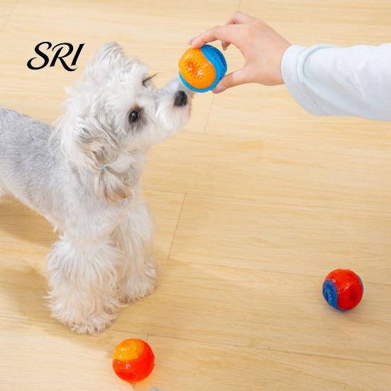 Puppy Teething Toy Dog Food Leakage Chew Ball Bite Resistant Pet Treat Dispensing Squeaky Interactive Boredom Enrichment Safe