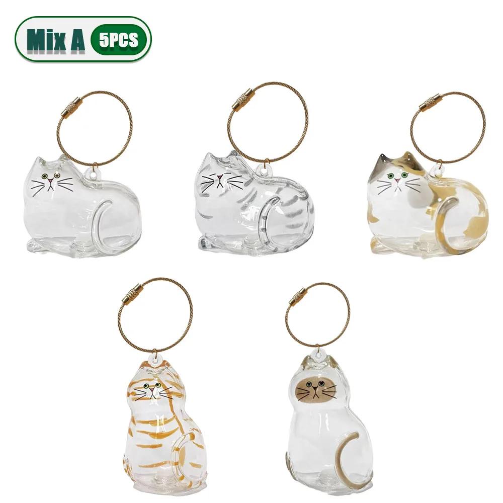 Katzenhaar-Aufbewahrungsbox Transparente Erinnerungskapsel für Tierfell DIY-Bastelarbeiten Gedenkgeschenk für Haustierbesitzer Heim-Dekoration