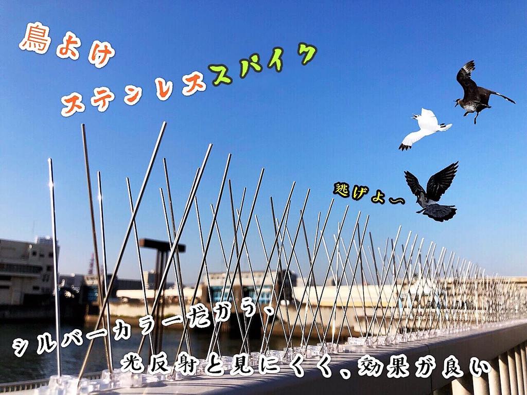 ONESORA Taube Vogel Edelstahl 20m Hält Krähen ab Verhindert Vögel Schützt Balkon und Einfache Bedienungsanleitung enthalten Abwehrmittel, Spikes, Abschreckungsmittel, Stahl,