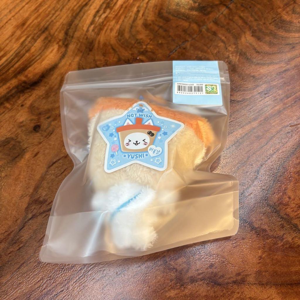 [USED] Official NCT WISH YUSHI Mascot Wishdoll