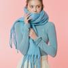 ETRE AU SOMMET EAS Logo Fling Schal (Pastellblau)