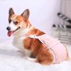 Adjustable Dog Sanitary Pantie Soft Female Dog Shorts Dog Menstruation Pant  For Four Seasons