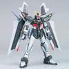 HG Strike Noir Gundam Suit Gundam SEED 1/144 GAT-X105E (Mobile C.E.73 STARGAZER)