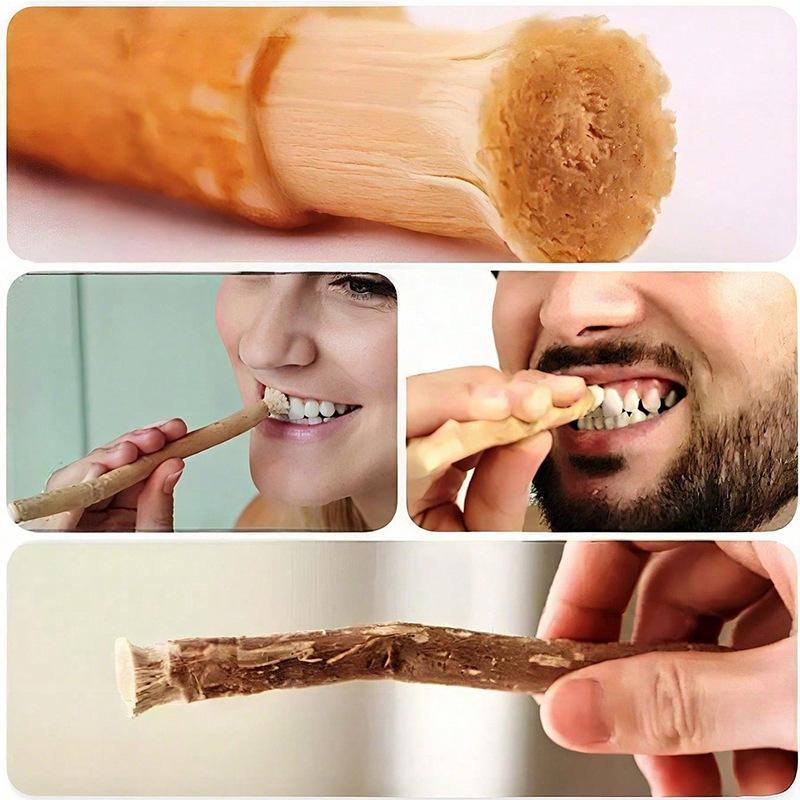 Natural Miswak Oral Care Toothbrush 4Pcs Traditional Arak Manual Teeth Whitening for Travel Daily Use