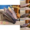 Plush Fish Pillow Soft Toy For Kids And Teens Decorative Gift