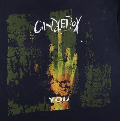 Candlebox Gift For Family Black T-Shirt Cotton All Size JJ50 Unisex T-Shirt