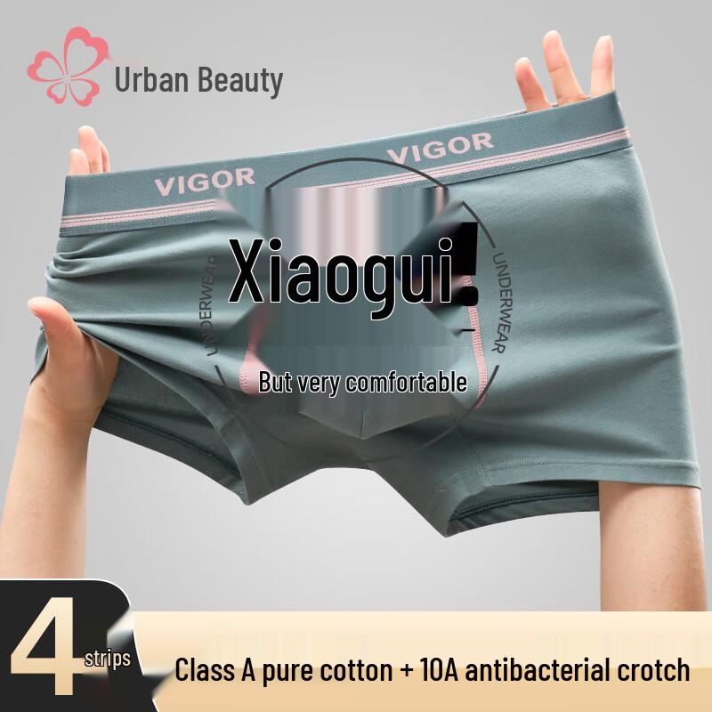 

Regina Teen Boys Antibacterial Cotton Boxer Briefs (4-Pack) 4XL