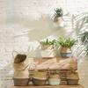 Seagrass Wicker Basket Wicker Basket Flower Pot Folding Basket Dirty Basket 