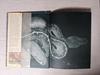 [USED] SNAKES, CROCODILES and LIZARDS Foreign Books Photo Collection