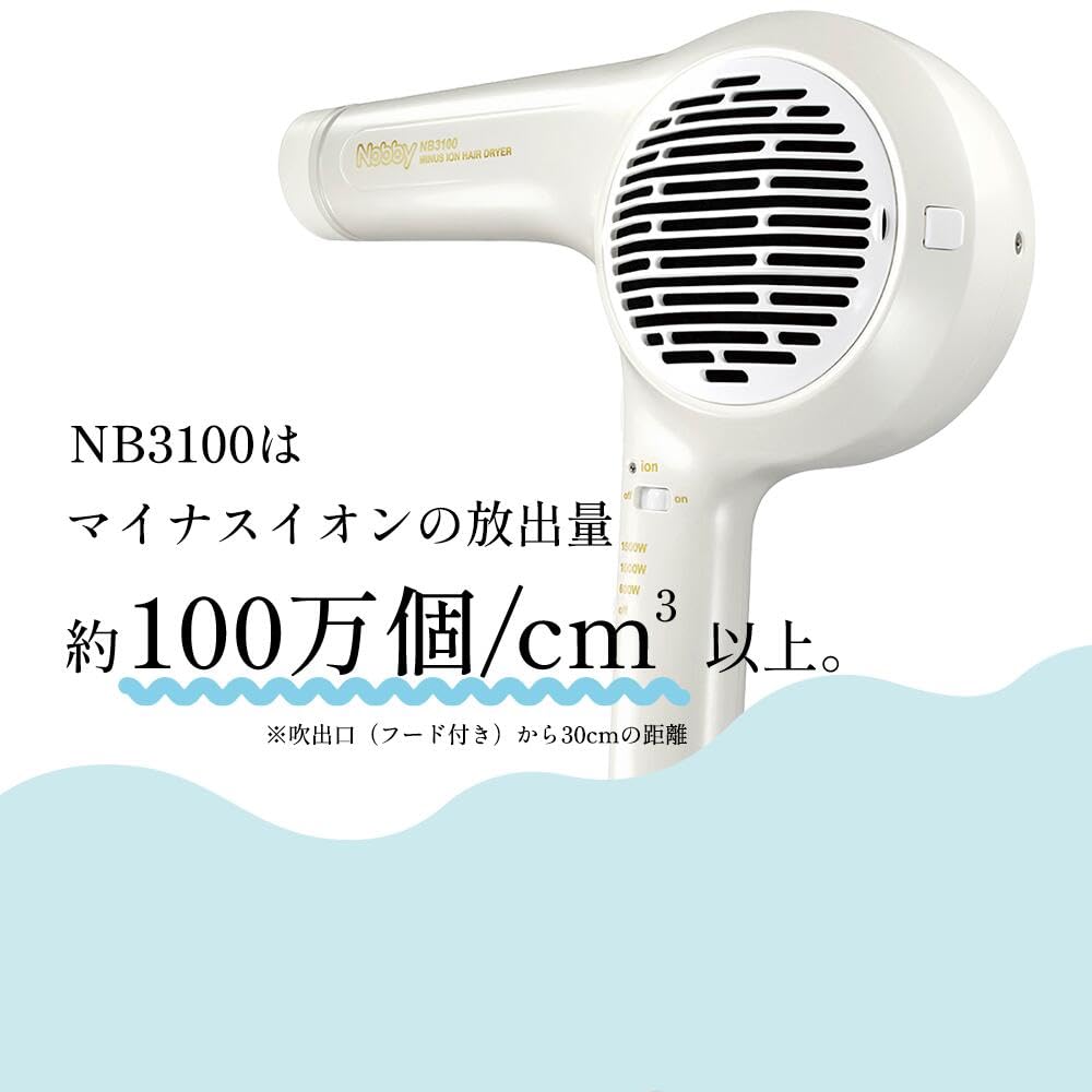 Nobby Negative Ion Hair Dryer NB3100 Large Air Volume Quick Drying 1500W Hairdressing Exclusive