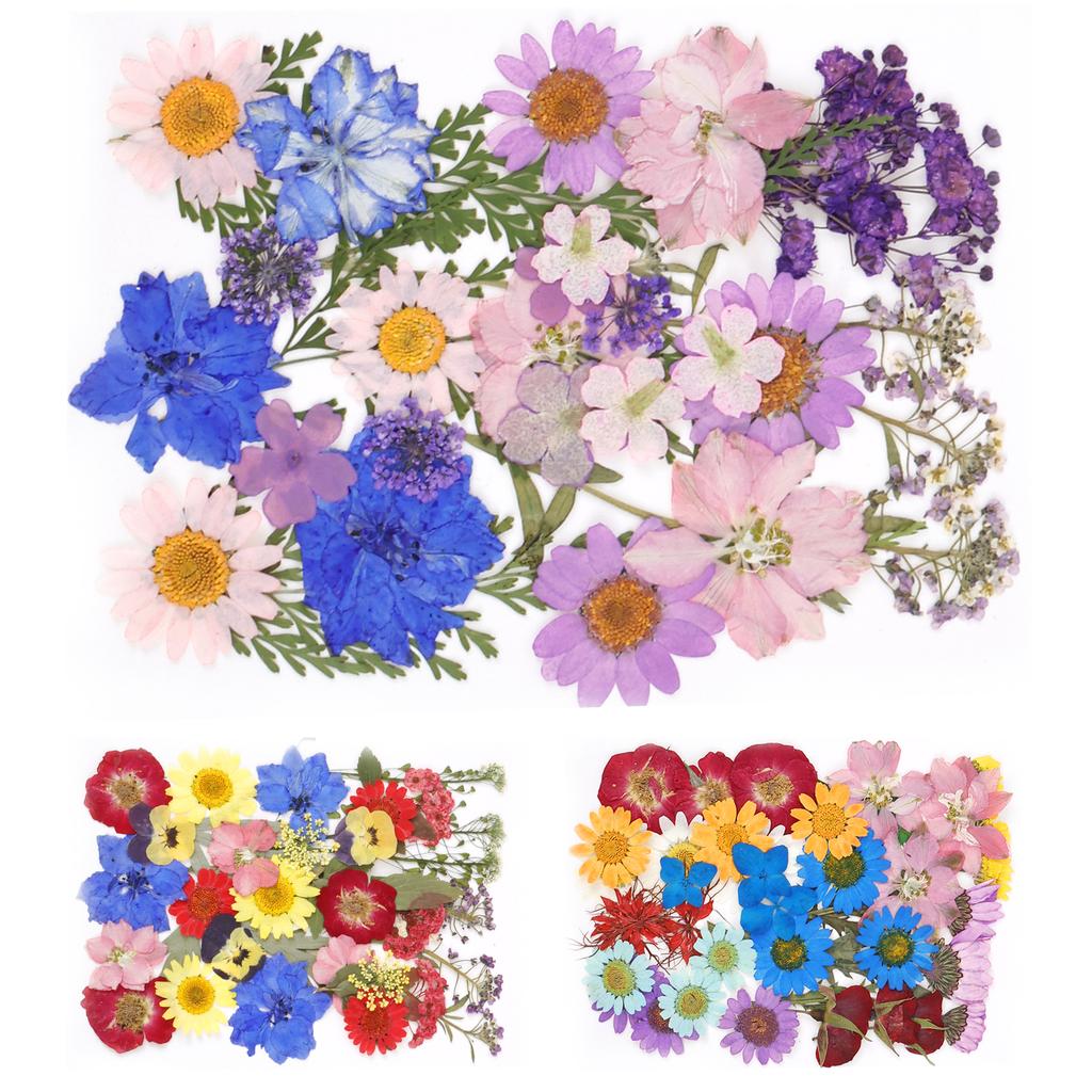 104/96/94Pcs Pressed Dried Flowers Set Real Natural Pressing Floral Leaves DIY Multipurpose Real Pressed Flowers Dry Leaves Kit