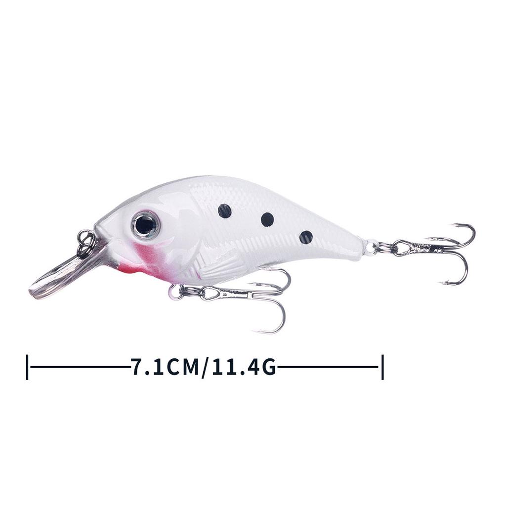 5PCS/BOX Fishing Different Type Minnow Popper Crank Mix Baits Luminous Night Fishing Saltwater Freshwater Fishing Bait
